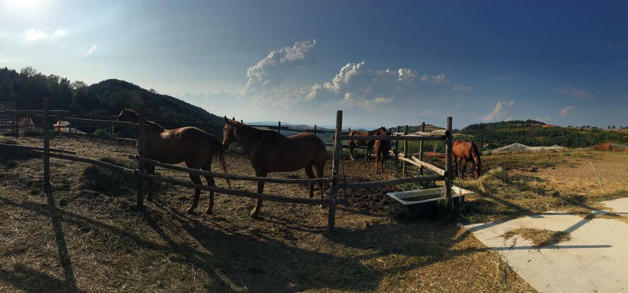 Вілла Maison Des Roses - Family Farm Bossolasco Екстер'єр фото